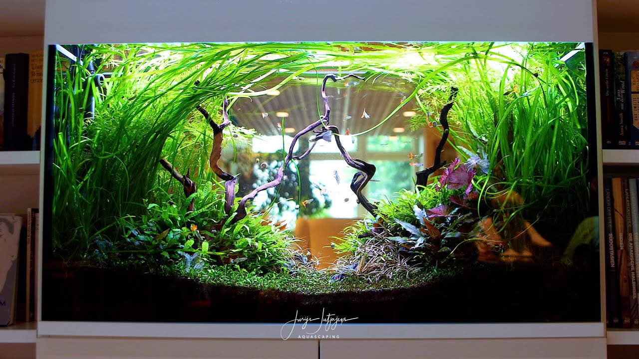 THIS RETIREMENT HOME AQUARIUM WILL BLOW YOUR MIND! | Full Tech & Planting Breakdown