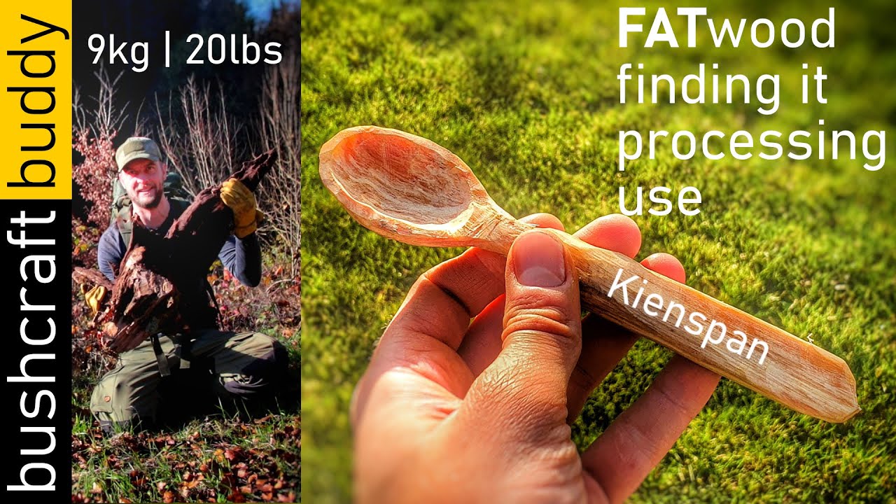 FATwood / Kienspan | different ways to find it | processing | making a fatwood spoon | fire starting