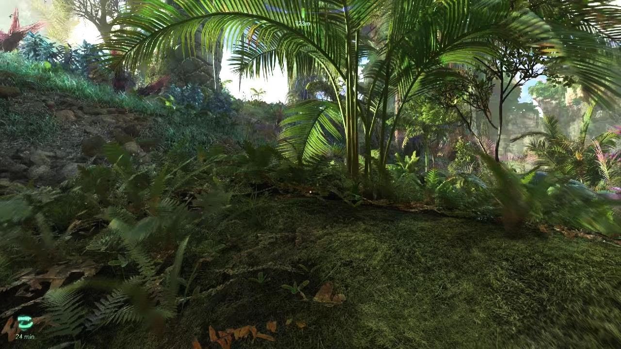 Avatar: Frontiers of Pandora shadow wood bellsprig location