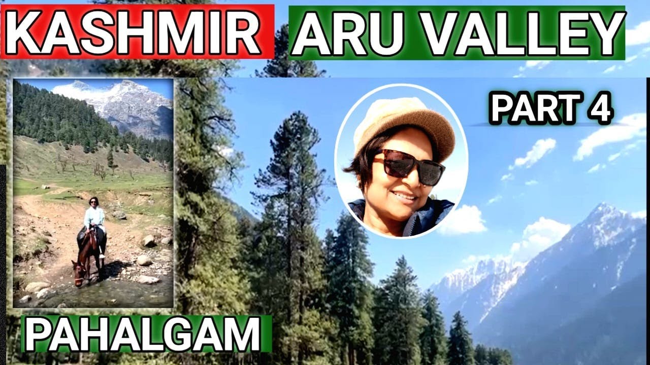 Pahalgam Aru Valley – Meadows, Mountains & Lidder Views | ARU Valley Just Before Pahalgam Attack