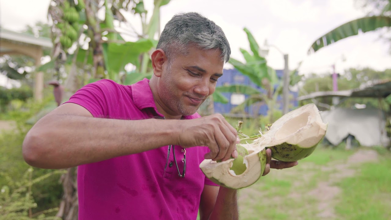 GUYANA: Pomeroon – Home of the Sweetest Coconuts in Guyana
