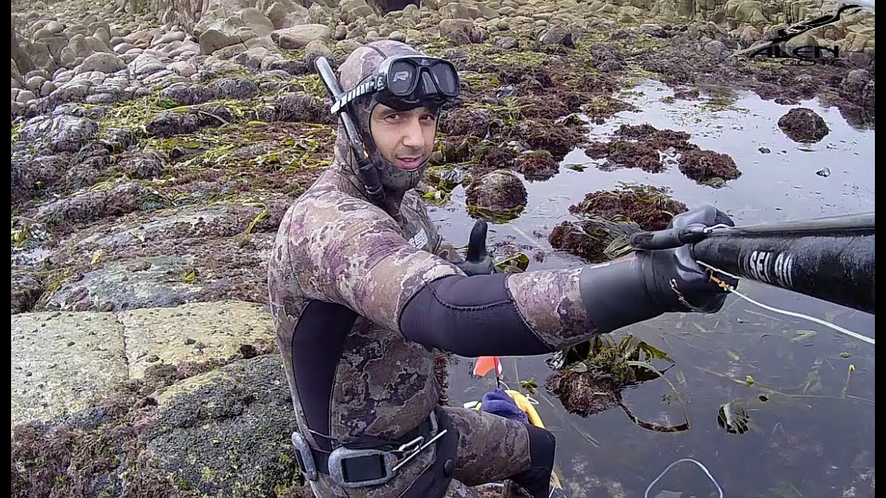 Pesca submarina en galicia(acechos a poca profundidad)