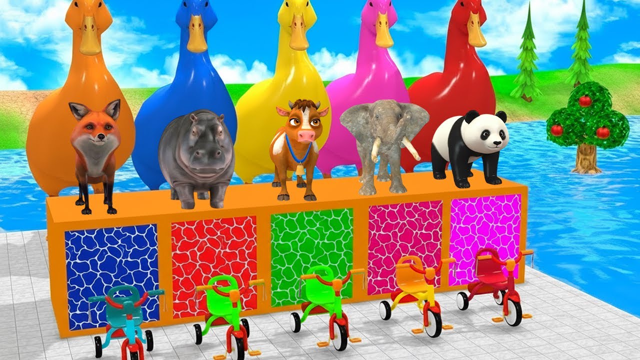 Long Slide Game With Cow Elephant Gorilla Hippopotamus Tiger 3d Animaal Game Funny 3d Animals
