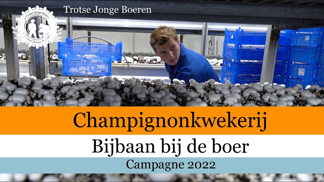 Bijbaan bij de Boer seizoen 2 - Champignonteelt