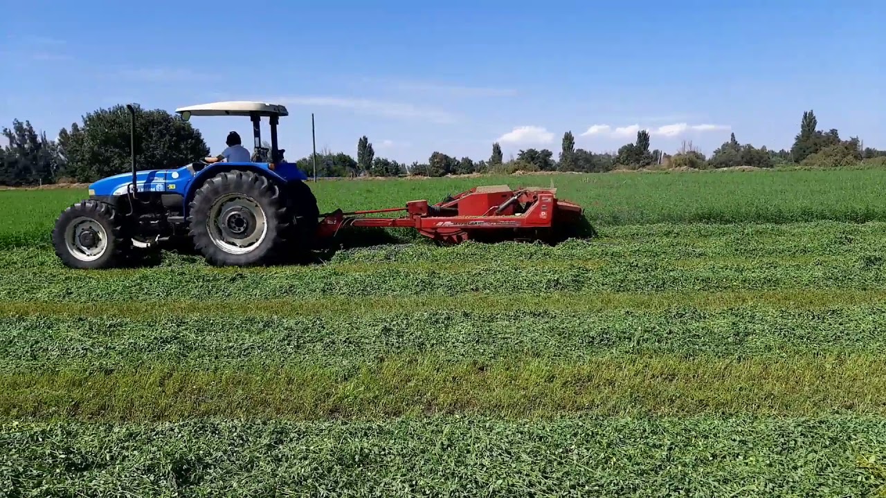Corte de Alfalfa y Enfardado