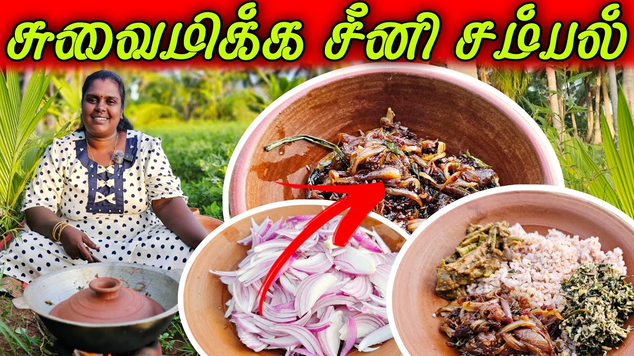 மறக்கமுடியாத சீனி சம்பல் | Our Village cooking | Vanni vlog
