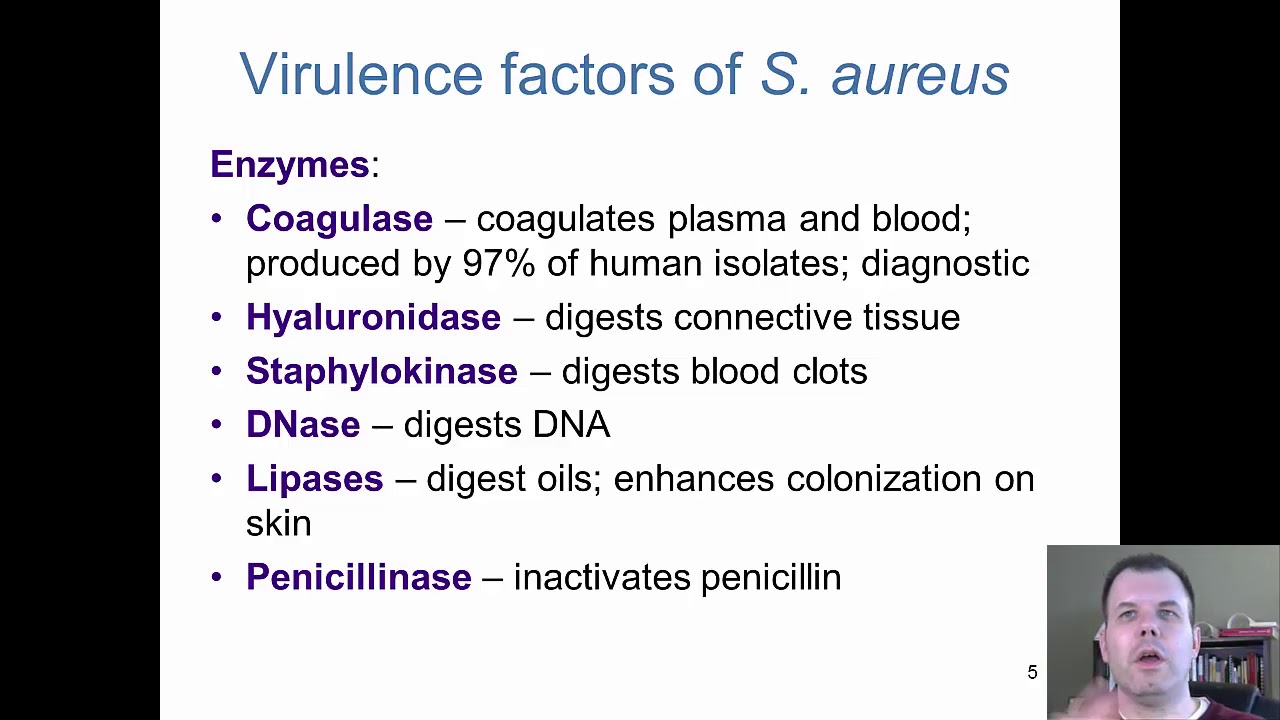 Chapter 18   The Cocci of Medical Importance (CC)