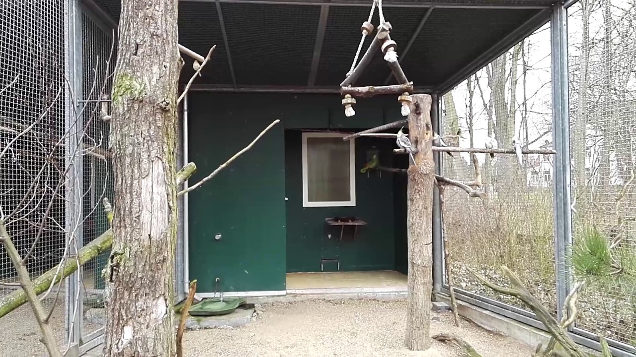 Das Vogelparadies !