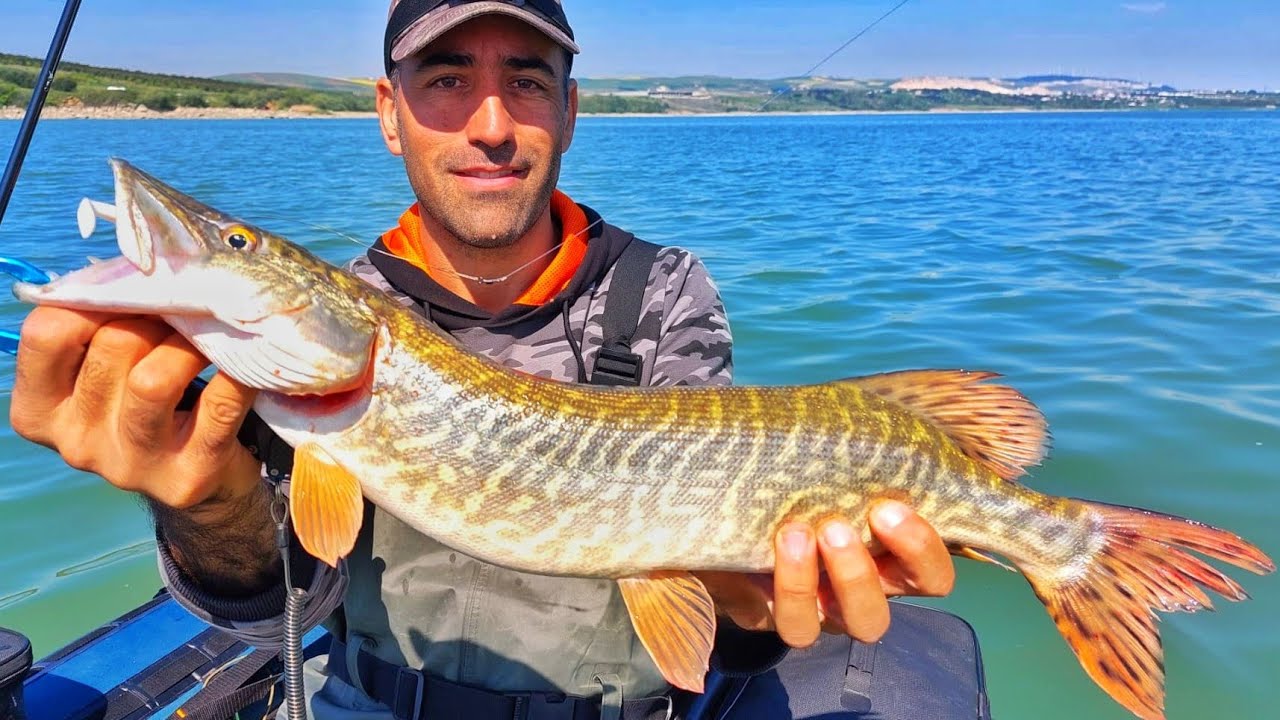 BOT SEZONUNU AÇTIM!! KAŞIĞA VURAN TURNALAR, LEVREKLER!! ►4K PIKE FISHING - İSTANBUL TURNA AVI