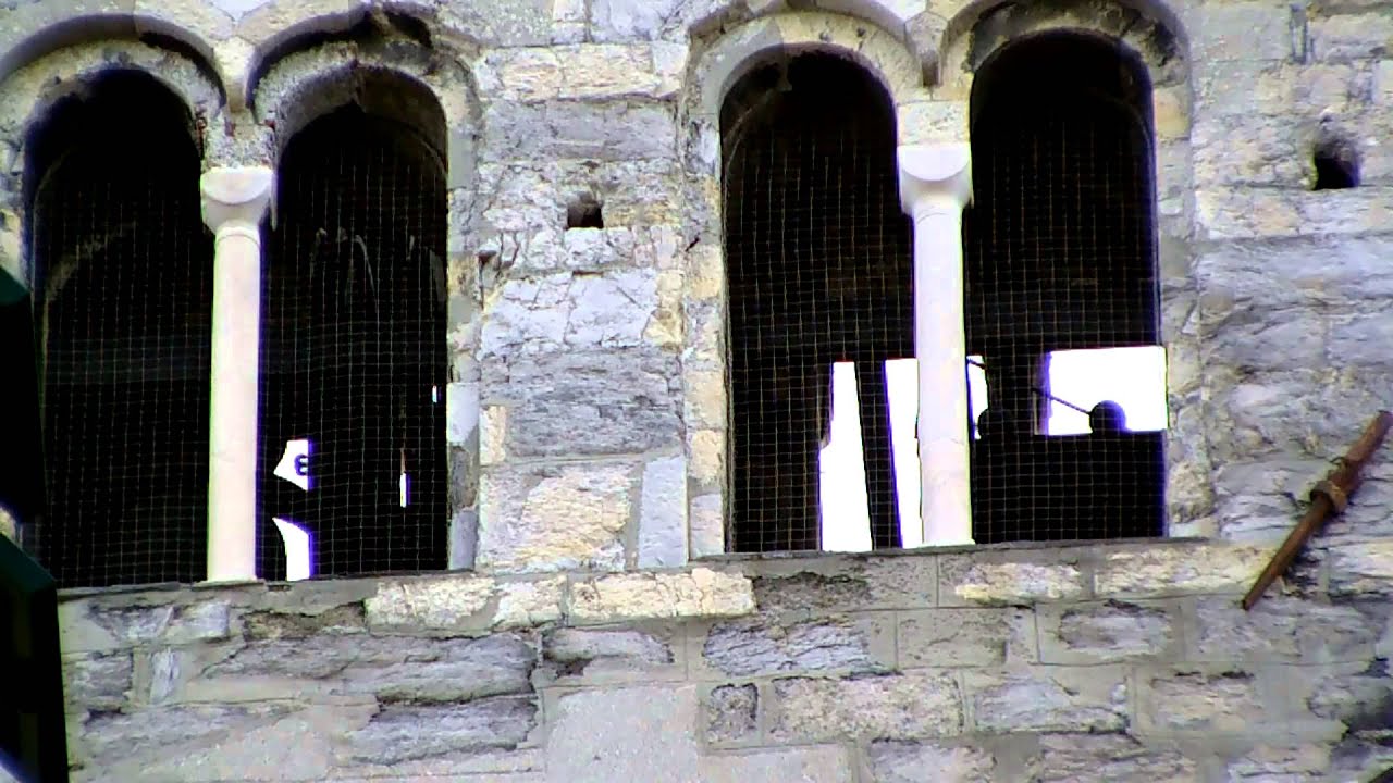 Le campane di Genova - Basilica di Santa Maria delle Vigne - 300° VIDEO