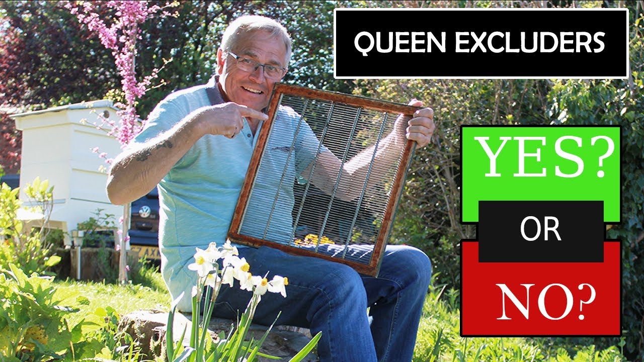Beekeeping UK Queen Excluders Yes? or No? should I use one.?