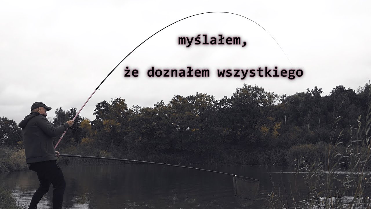 Metoda bolońska jakiej nie znałem. Nauka, test i duże ryby.