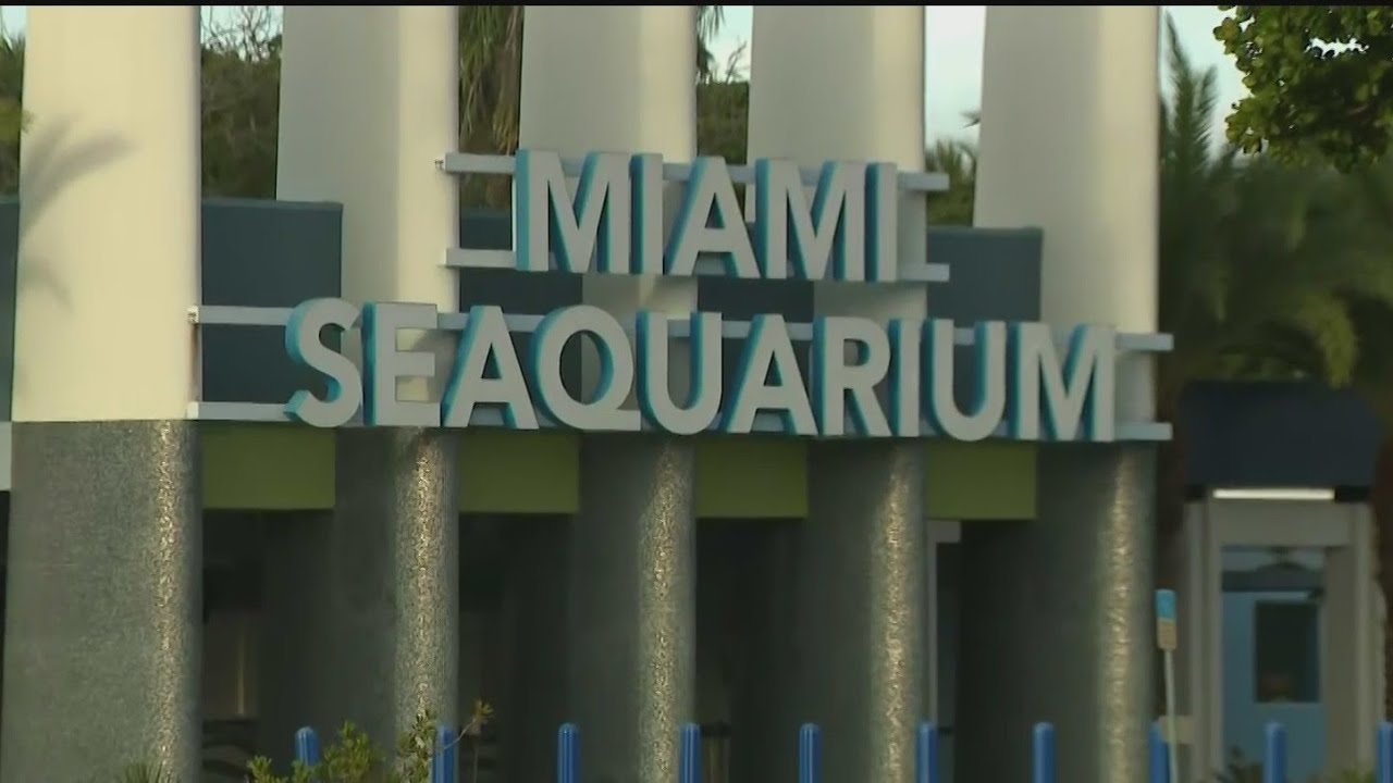 Miami Seaquarium closes after 70 years