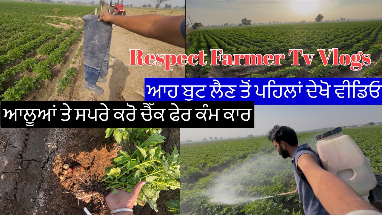 ਕਰੋ ਚੈੱਕ ਫਰੇ ਖੇਤੀ ਦੇ ਕੰਮ ਆਪਣੇ ,ਆਲੂਆਂ ਨੂੰ ਸਪਰੇ ਰੇਹ ਦਾ ਕੰਮ ਜ਼ੋਰਾਂ ਤੇ ॥ Allu Nu Spreh Karti