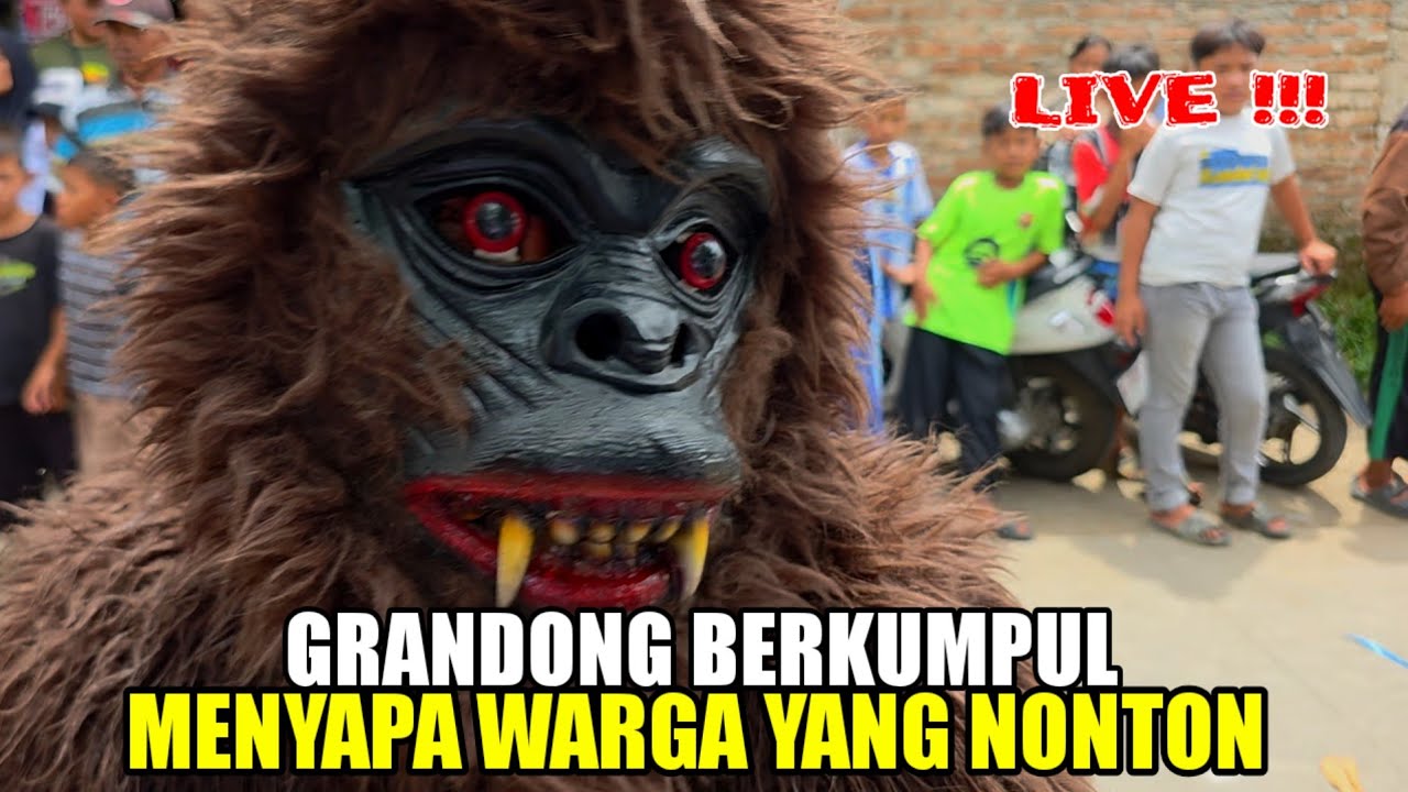 GRANDONG MEDAL PUSAKA MENYAPA WARGA❗️❗️LEMBUR KURING