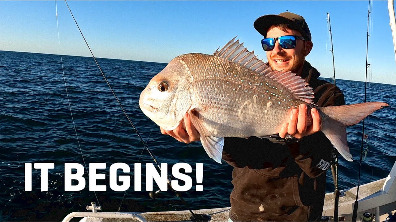 This Place is EPIC! Shark Bay 2024