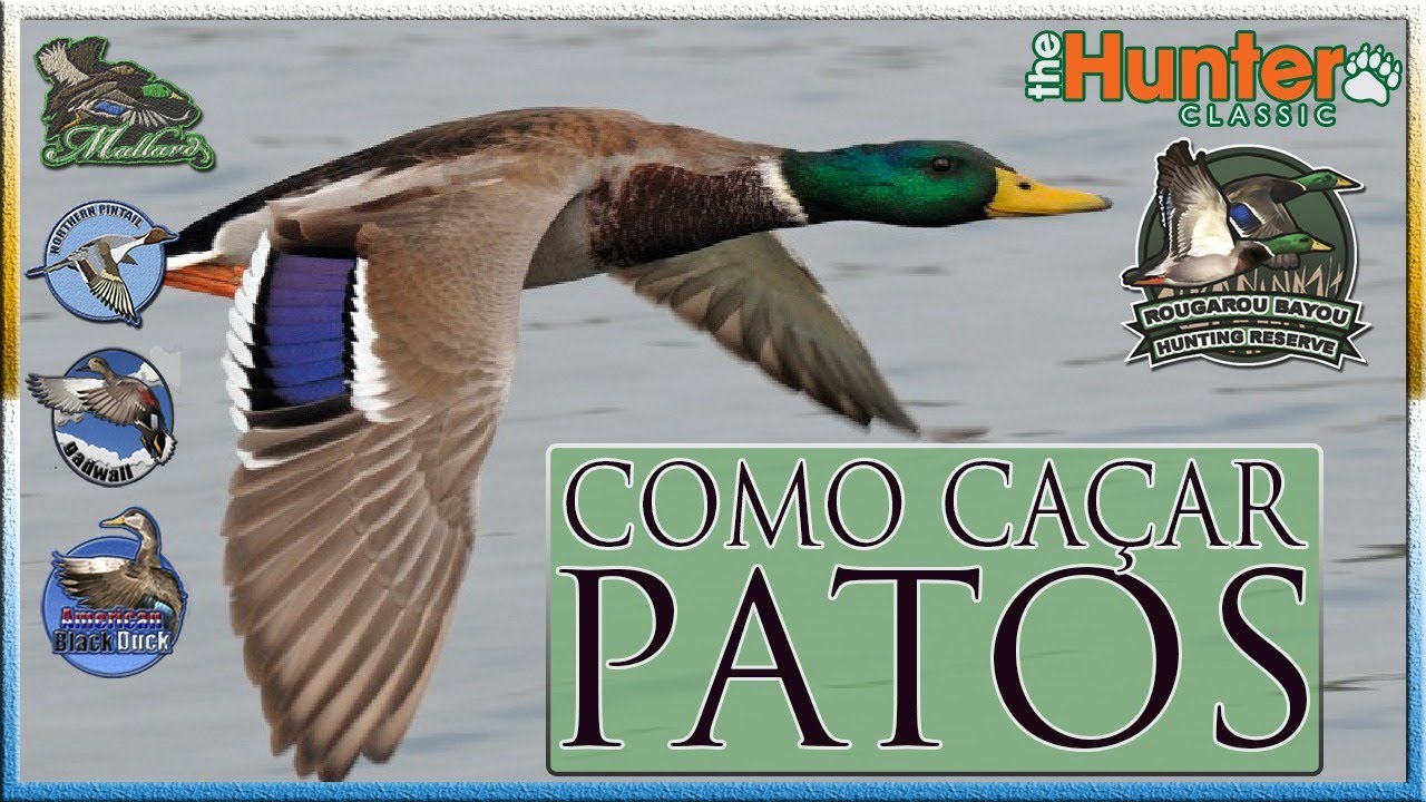 COMO CAÇAR PATOS  - TheHunter: Classic