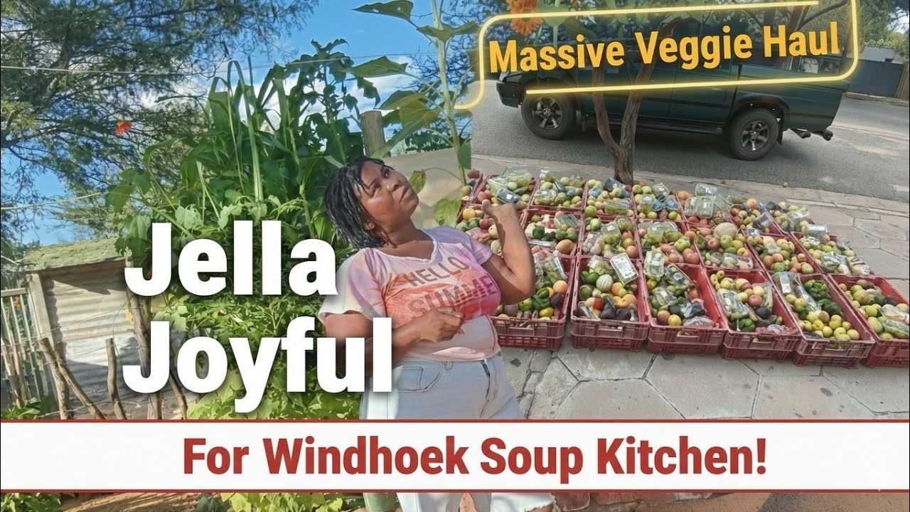 NAMIBIA NGO: They Gave Us Everything! 🇳🇦 Huge Mixed Veggie Haul in Windhoek