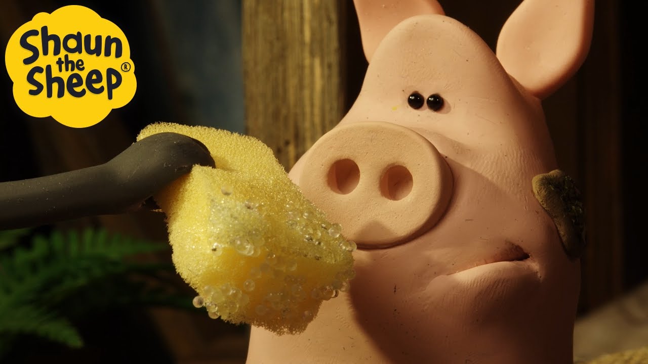 Pig Wash😲 | Shaun the Sheep Compilation | Shaun the Sheep & Friends