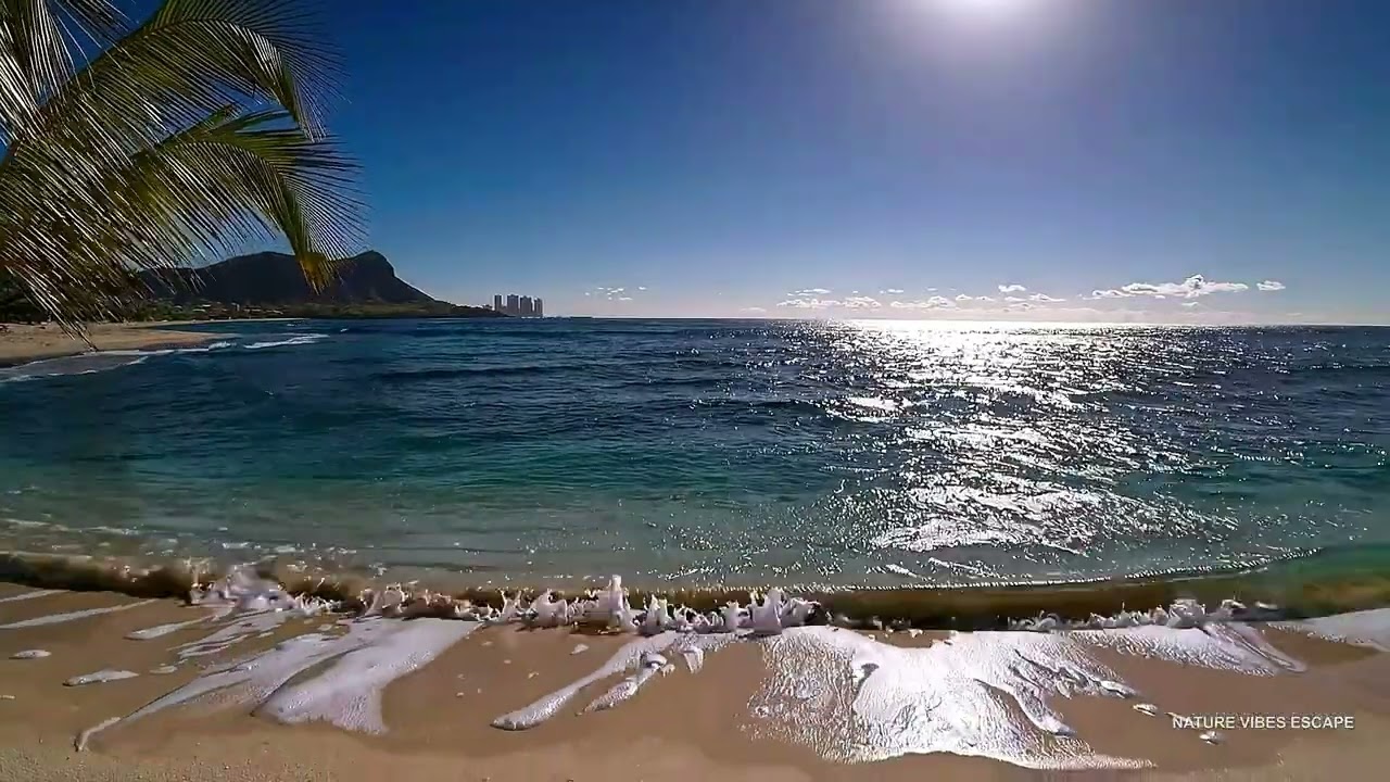 RELAXING 🌊 Oʻahu Hawaii  Beach Vibe Ocean Sounds | Focus Calm Sleep | 4K 8 Hour 😴