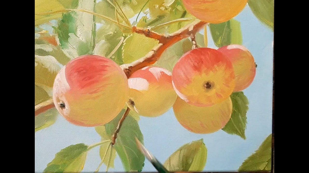 apples яблоки vugar mamedov