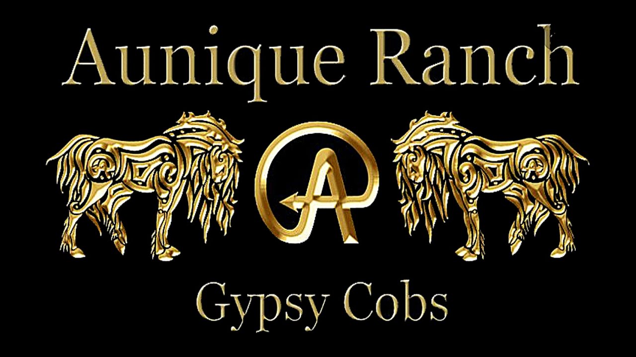 AUNIQUE GYPSY FARM - TEXAS