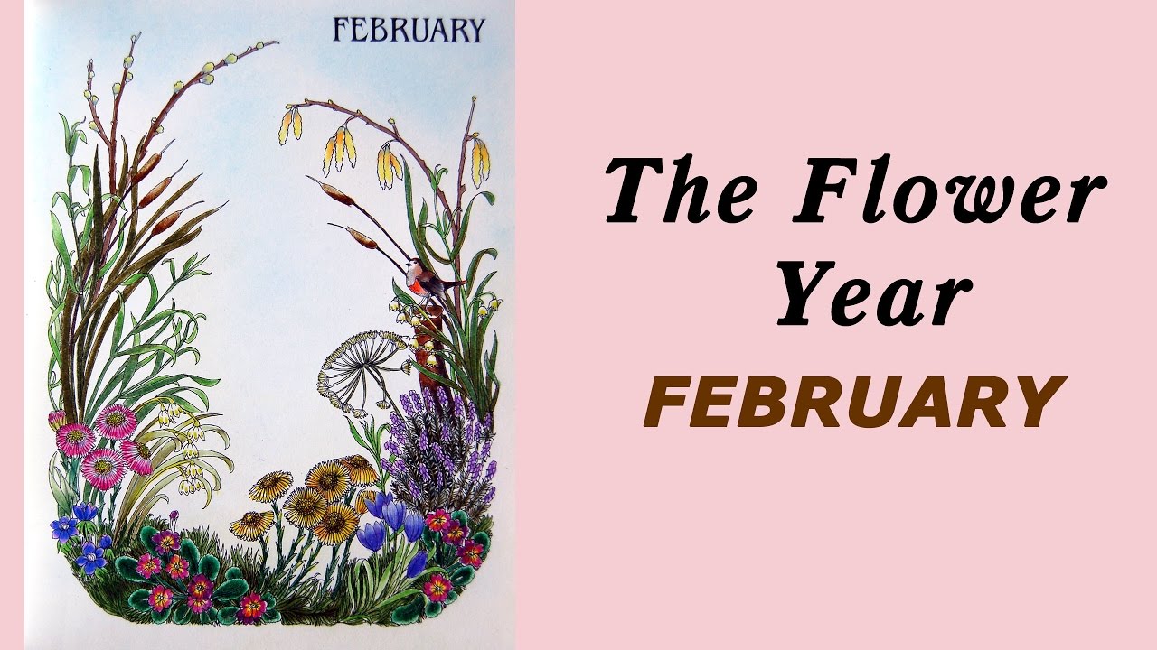 Colouring 'The Flower Year' February / Раскраска-антистресс