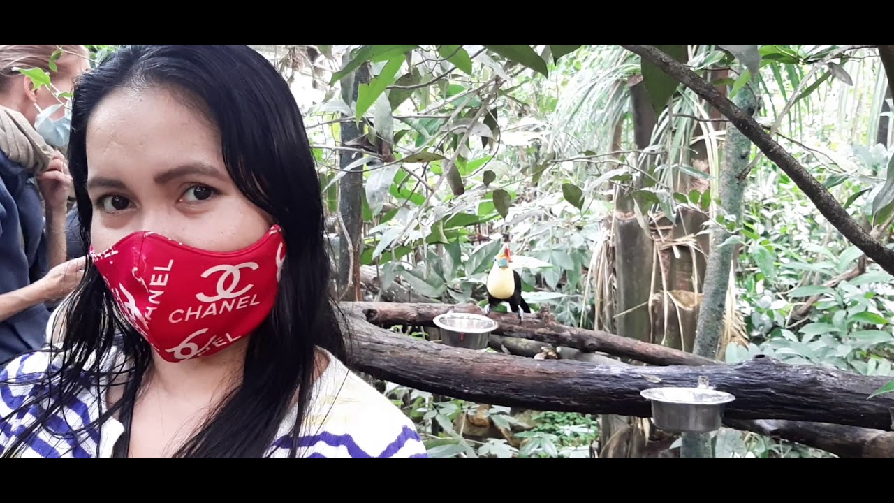 Papiliorama in Kerzers, Switzerland ( the butterfly garden)