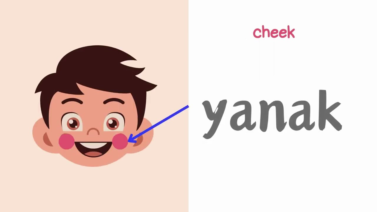 Turkish Vocabulary- Parts of the Body | Learn Body Parts in Turkish with Pictures