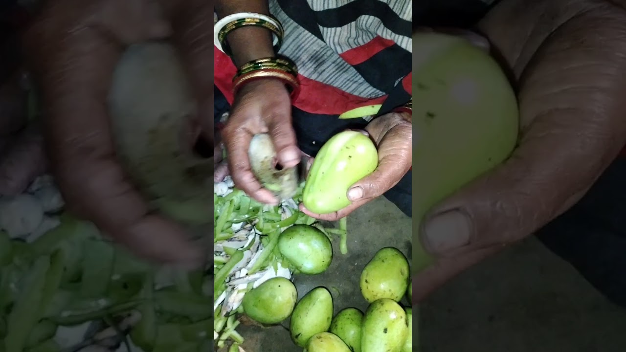 kancha mango 🥭#shorts vairal mango video 🤗#manoj laxmi vlogs vairal shorts video 🥭🙏🤩