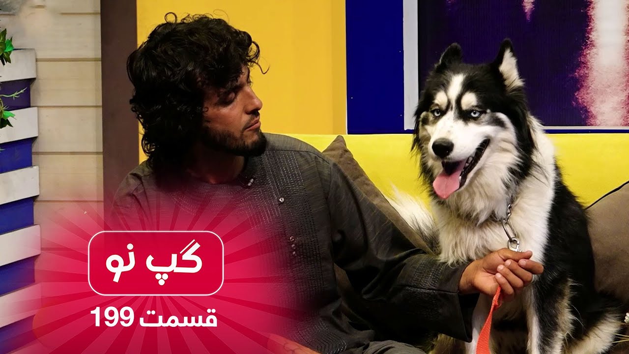 Gape Naw with Hameed Bacha Haji, pet dog seller / گپ نو با حمید بچه حاجی، فروشنده حیوانات خانگی