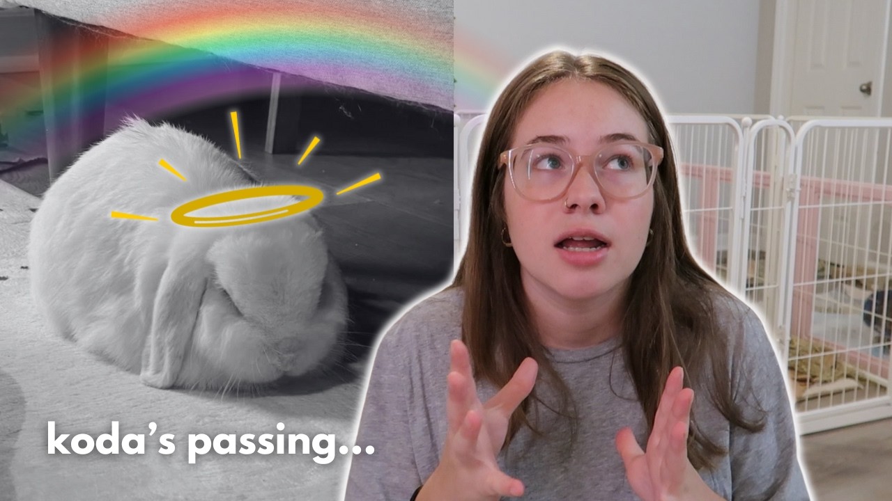 A Tough Bunny Update 🐇💔 | Koda’s Passing & Luna’s Recovery