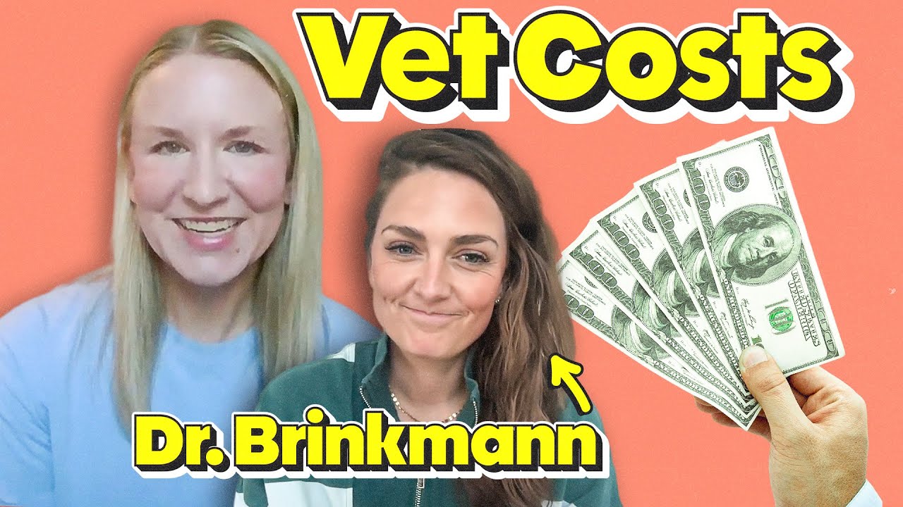 Why Emergency Vet Care is So Expensive | Ep. 78