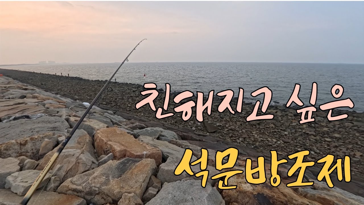 쭈꾸미는 어디 사는거지??