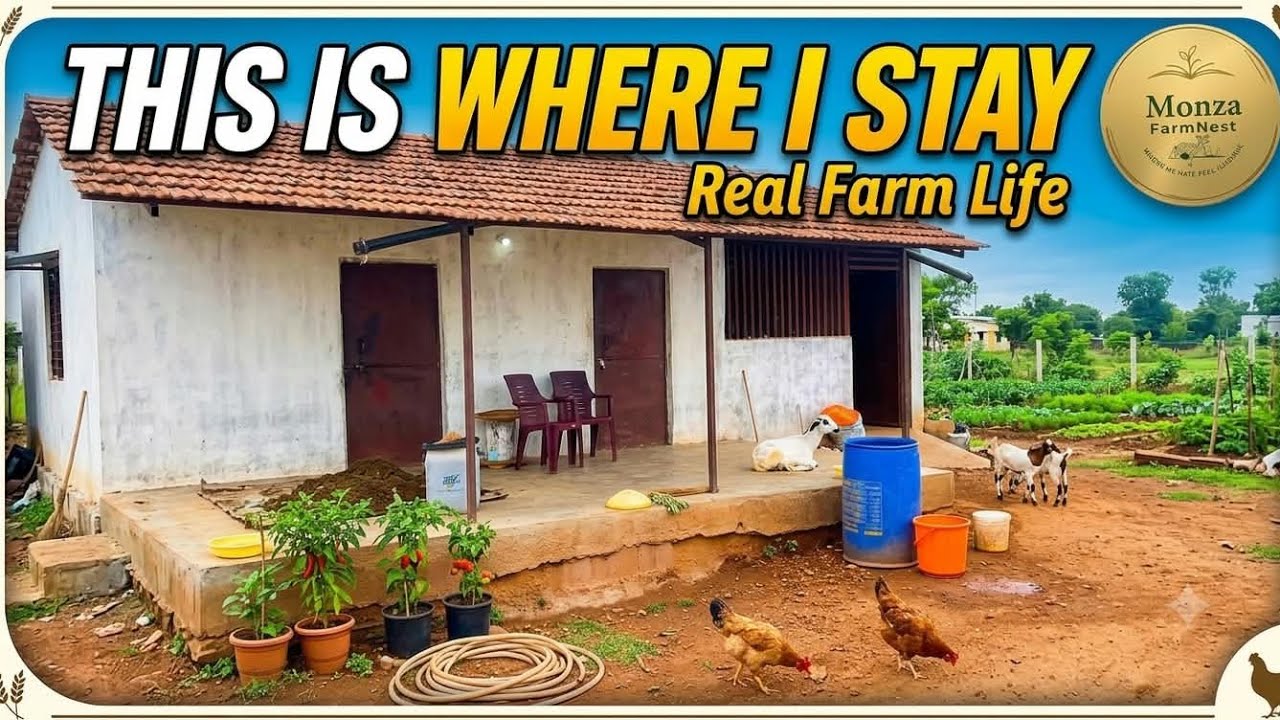 This Is Where I Actually Stay at My Farm | Real Farm Life 🌿