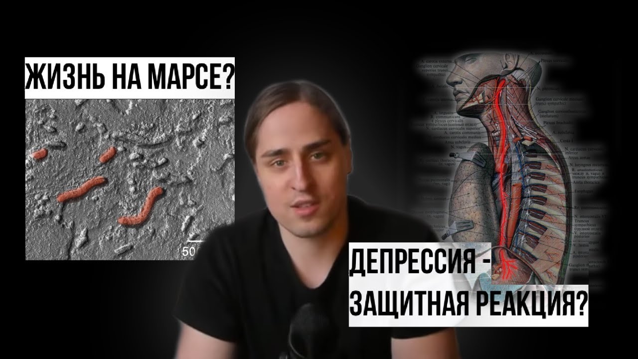 ЖИЗНЬ на МАРСЕ / ПОЛИВАГАЛЬНАЯ гипотеза ДЕПРЕССИИ [Владимир Алипов]