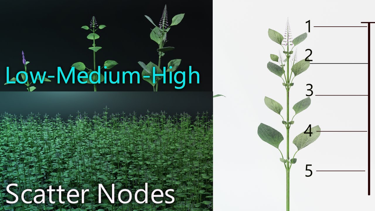 How To Make Plants In Blender (...Tutorial...)
