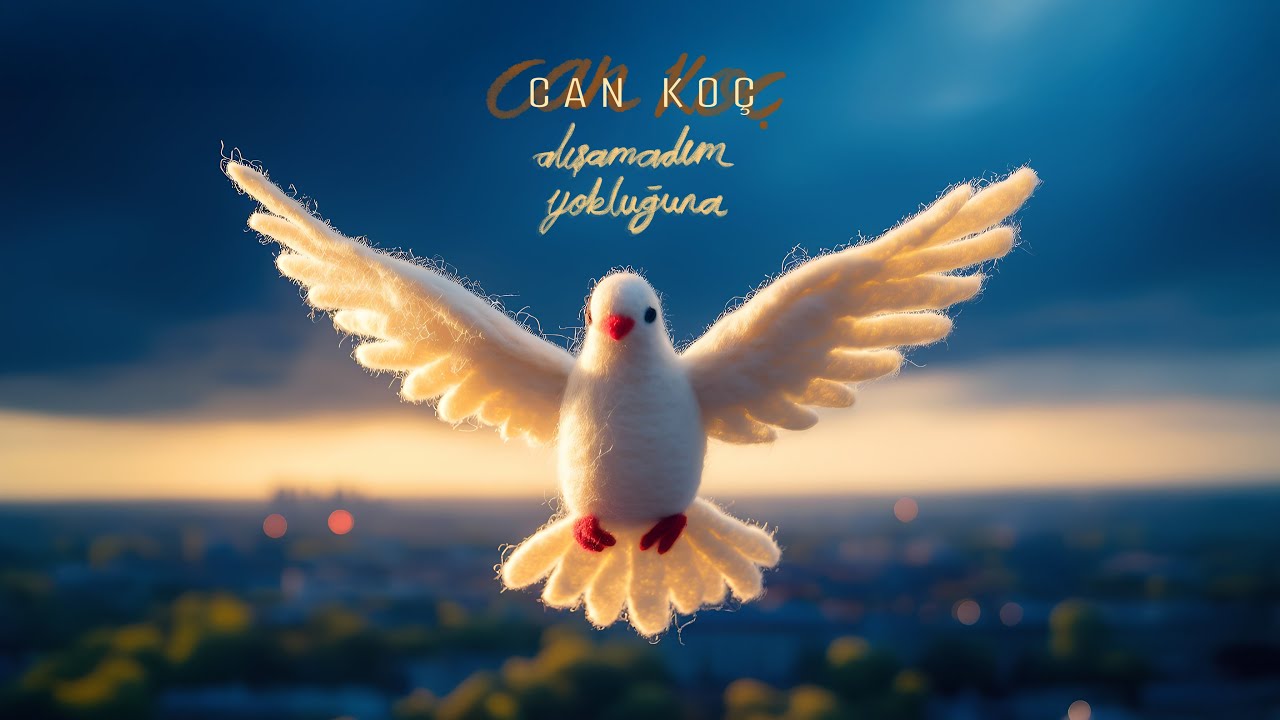 Can Koç - Alışamadım Yokluğuna (Official Music Video)