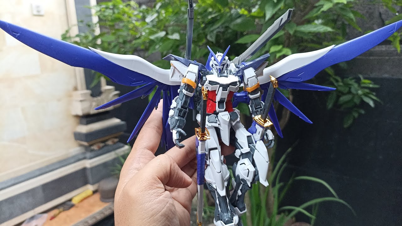 Review MG 1/100 Astray GBK (6659) by Daban