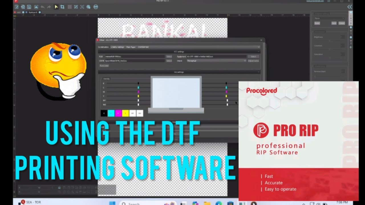 How to Use Procolored DTF Printing Software - Punehod L1800 Direct to Film Printer @williamsdesignz