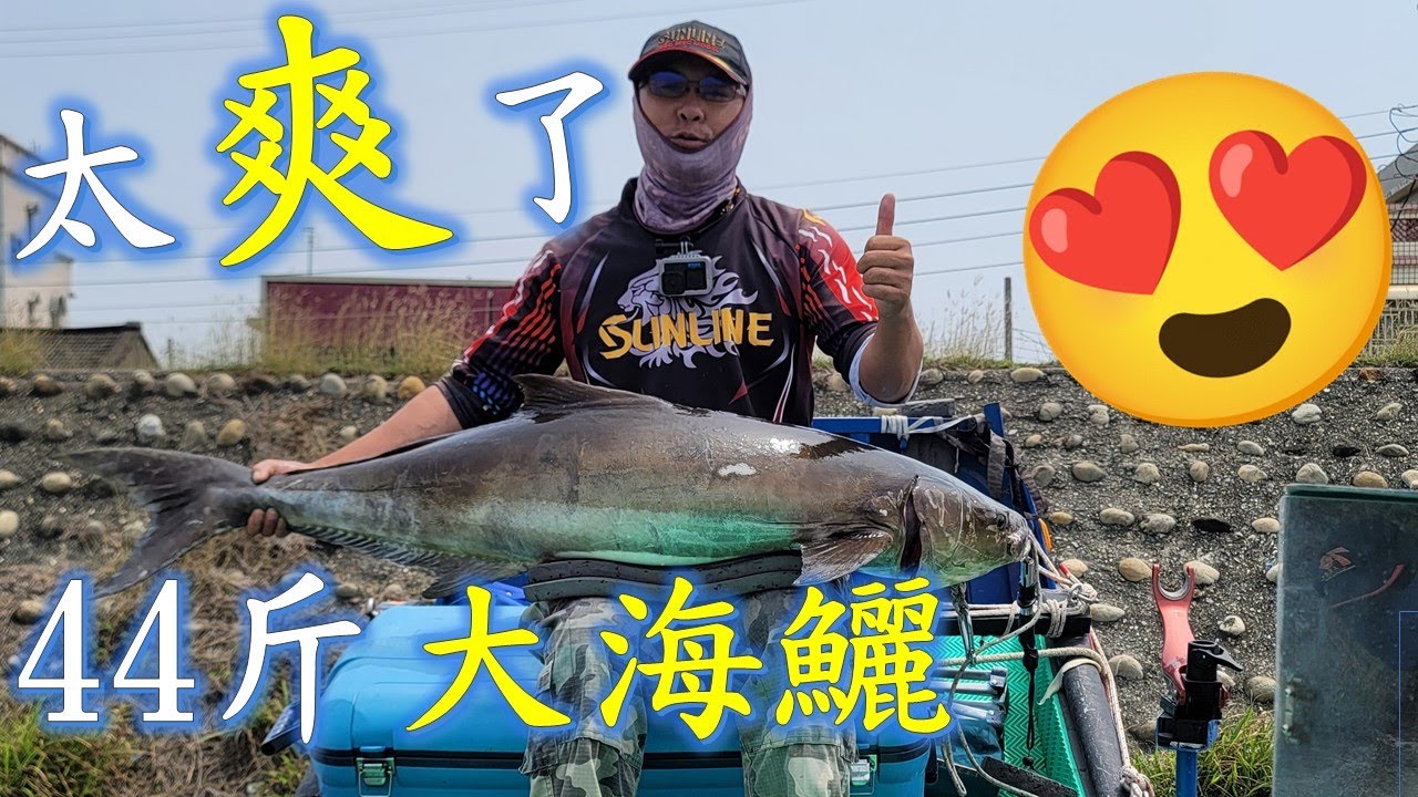挖貴大師又大爆發了，44斤的海鱺，一次2隻，腰瘦喔!! #釣魚#敲底#海鱺#石斑#風車#沉船#泡綿船#fishing