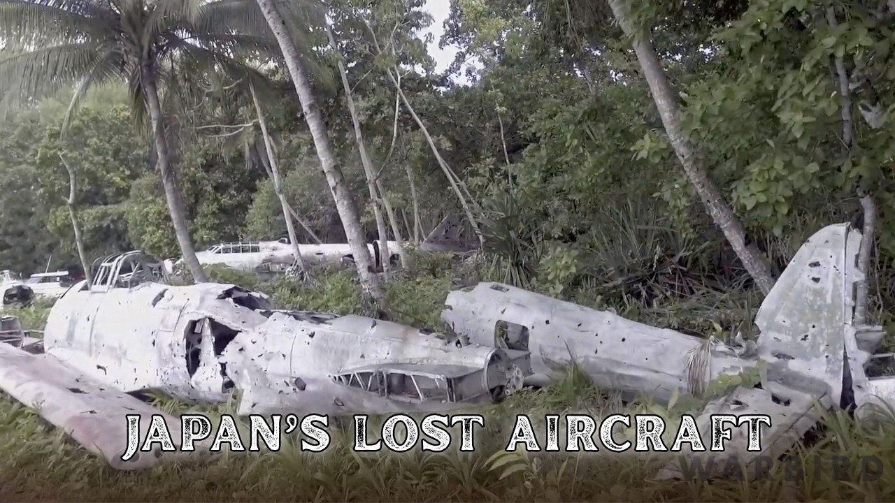 Recovering Ballale Island: Japan's Aircraft Wrecks Before They Vanish