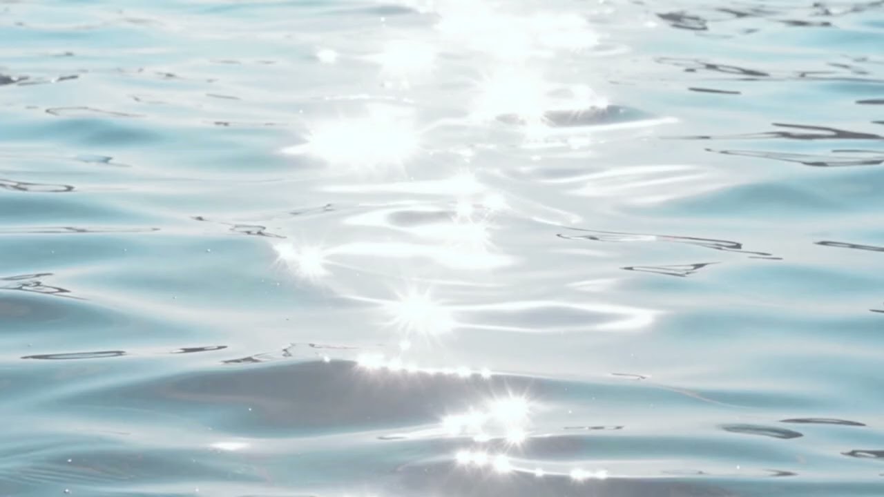街のドルフィン Dolphin in Town 作業用 BGM 耐久