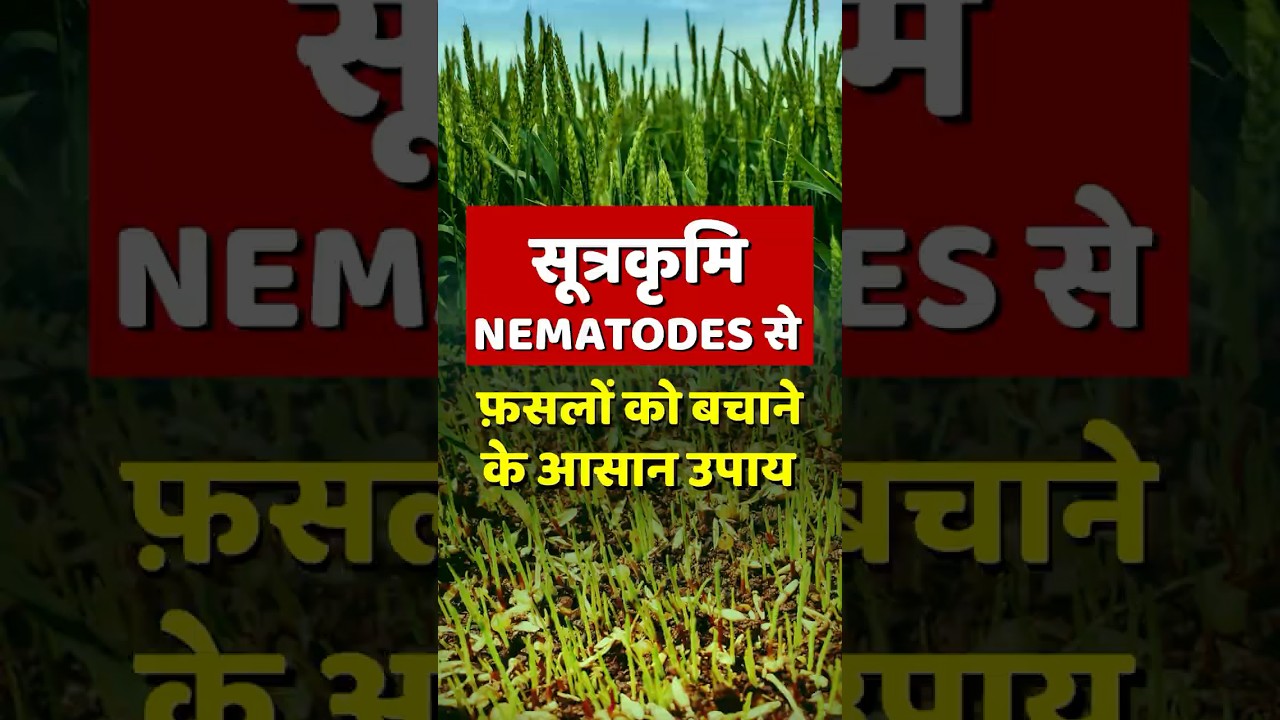 BEST Nematode Control Method You Need to Know