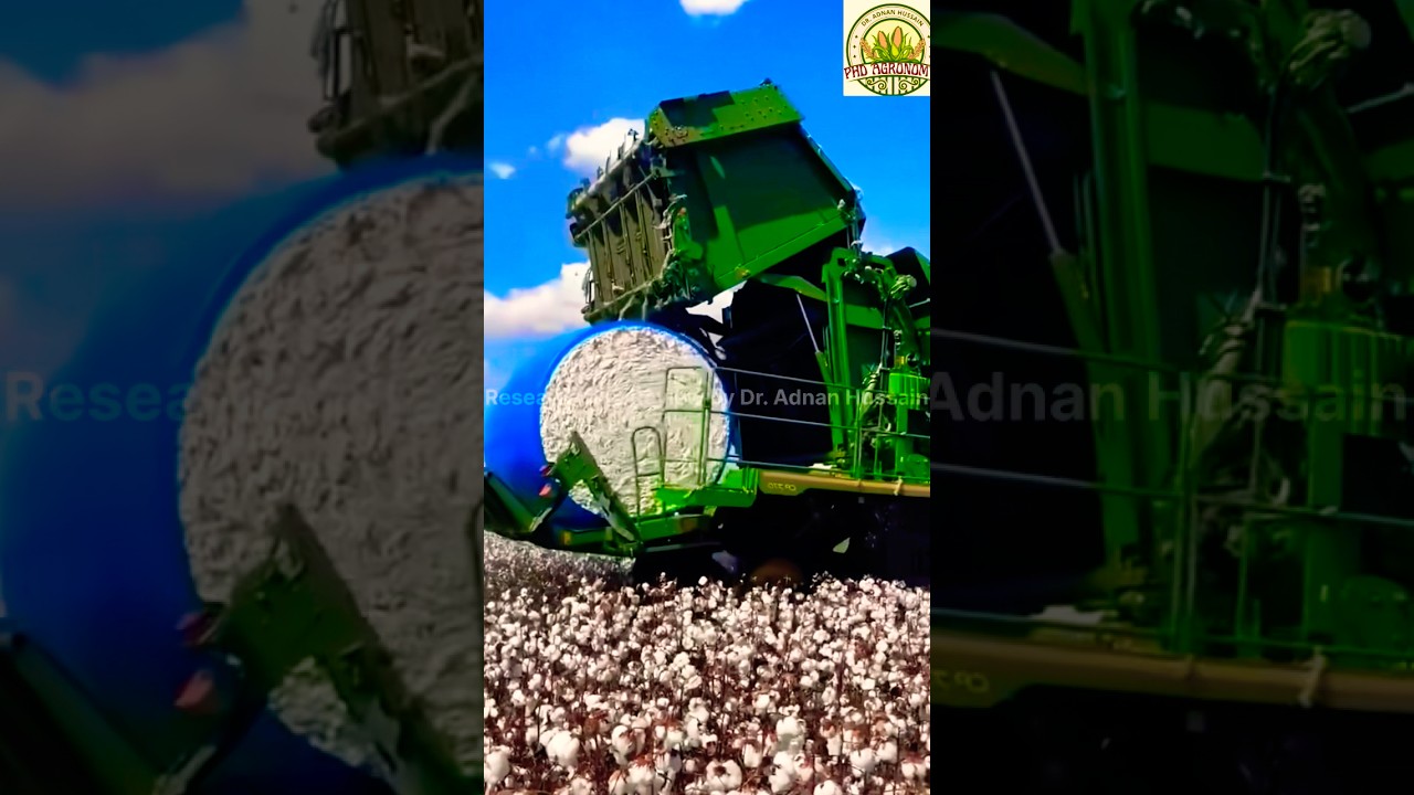 Today Cotton crop picking and bundle making machine for feasibility and sustainability #agriproduct