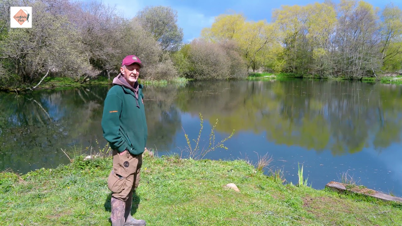 Reed Mere Lake - Lonsdale Park