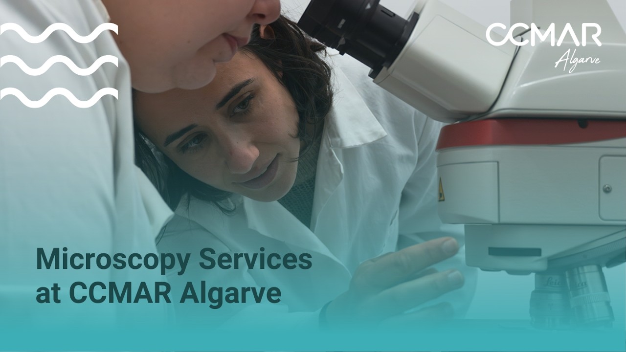Microscopy Services at CCMAR Algarve
