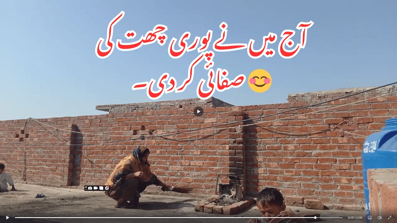 Aaj Puri Chat Ki Safai Kar Di 😌✨