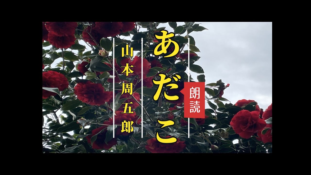 【朗読】山本周五郎「あだこ」