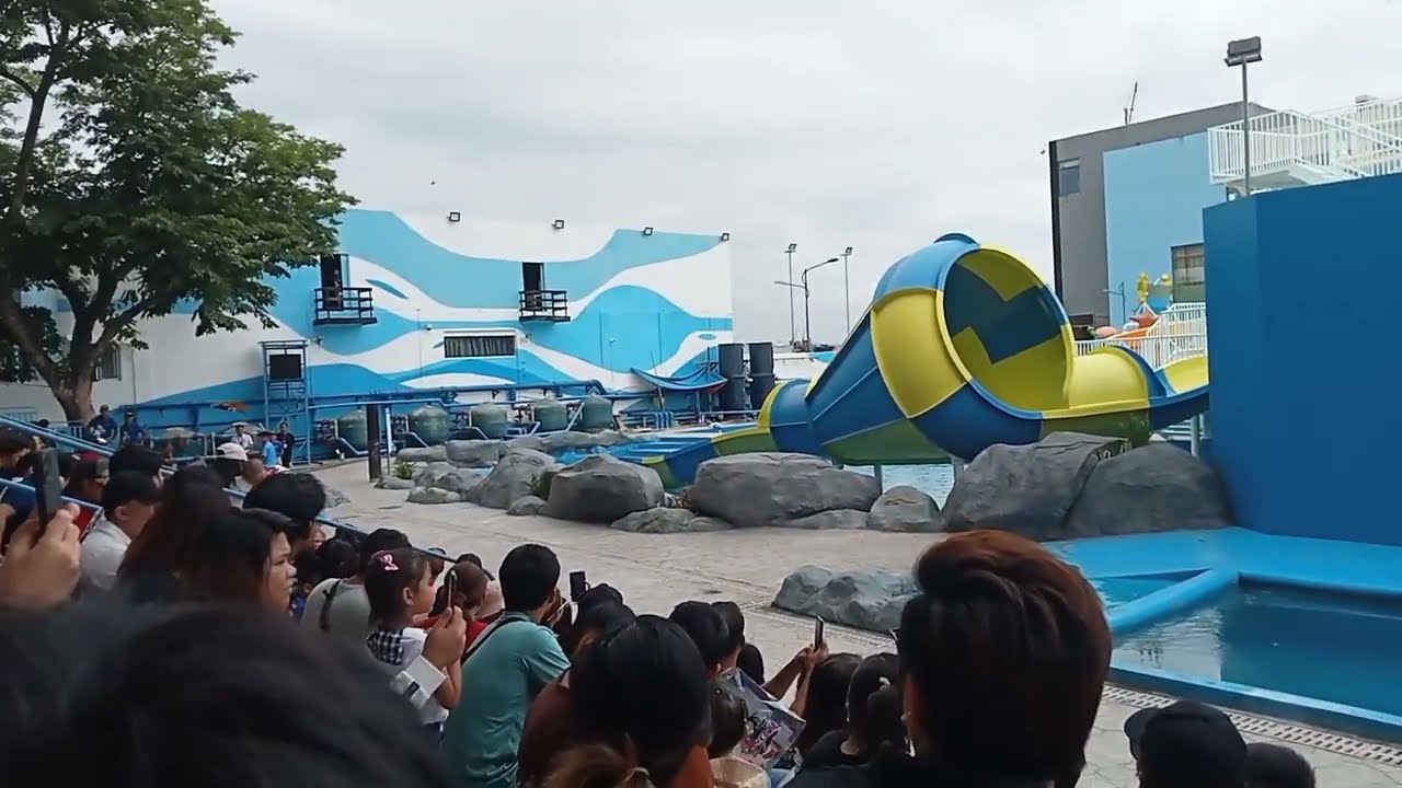 All Star Birdshow | A snippet | Manila Ocean Park